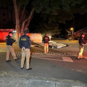 Homem é executado com 15 tiros na Vila Morangueira em Maringá Foto 14 Fotos de Homem é executado com 15 tiros na Vila Morangueira em Maringá