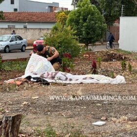 Novas imagens mostram vítima sendo perseguida e pode ajuda polícia identifica suspeitos em Paiçandu Foto 16 Fotos de Novas imagens mostram vítima sendo perseguida e pode ajuda polícia identifica suspeitos em Paiçandu