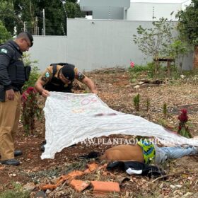 Novas imagens mostram vítima sendo perseguida e pode ajuda polícia identifica suspeitos em Paiçandu Foto 15 Fotos de Novas imagens mostram vítima sendo perseguida e pode ajuda polícia identifica suspeitos em Paiçandu