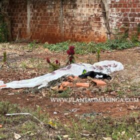 Novas imagens mostram vítima sendo perseguida e pode ajuda polícia identifica suspeitos em Paiçandu Foto 14 Fotos de Novas imagens mostram vítima sendo perseguida e pode ajuda polícia identifica suspeitos em Paiçandu