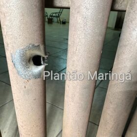 Fotos de Homem é preso após atirar contra a ex-esposa e a filha de 7 anos, em Maringá