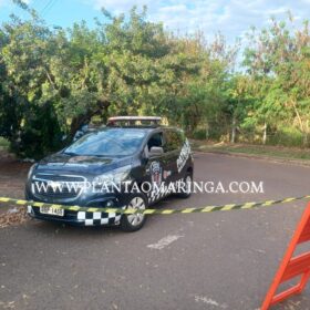 Fotos de Homem é preso após invadir Cmei - Professora Iria de Castro armado com faca em Maringá