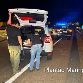 Homem morre após ser atropelado e motorista foge sem prestar socorro em Maringá Foto 5 Fotos de Homem morre após ser atropelado e motorista foge sem prestar socorro em Maringá