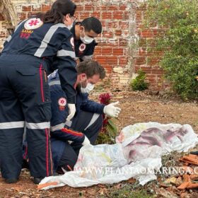 Novas imagens mostram vítima sendo perseguida e pode ajuda polícia identifica suspeitos em Paiçandu Foto 11 Fotos de Novas imagens mostram vítima sendo perseguida e pode ajuda polícia identifica suspeitos em Paiçandu