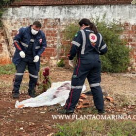 Novas imagens mostram vítima sendo perseguida e pode ajuda polícia identifica suspeitos em Paiçandu Foto 6 Fotos de Novas imagens mostram vítima sendo perseguida e pode ajuda polícia identifica suspeitos em Paiçandu