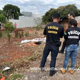 Novas imagens mostram vítima sendo perseguida e pode ajuda polícia identifica suspeitos em Paiçandu Foto 9 Fotos de Novas imagens mostram vítima sendo perseguida e pode ajuda polícia identifica suspeitos em Paiçandu
