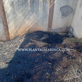 Quatro viaturas da Polícia Militar ficam destruídas após incêndio em Maringá Foto 9 Fotos de Quatro viaturas da Polícia Militar ficam destruídas após incêndio em Maringá
