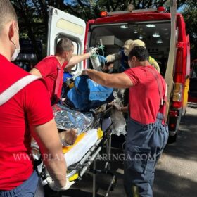 Segurança sofre parada cardíaca e é reanimado após acidente em Maringá Foto 16 Fotos de Segurança sofre parada cardíaca e é reanimado após acidente em Maringá