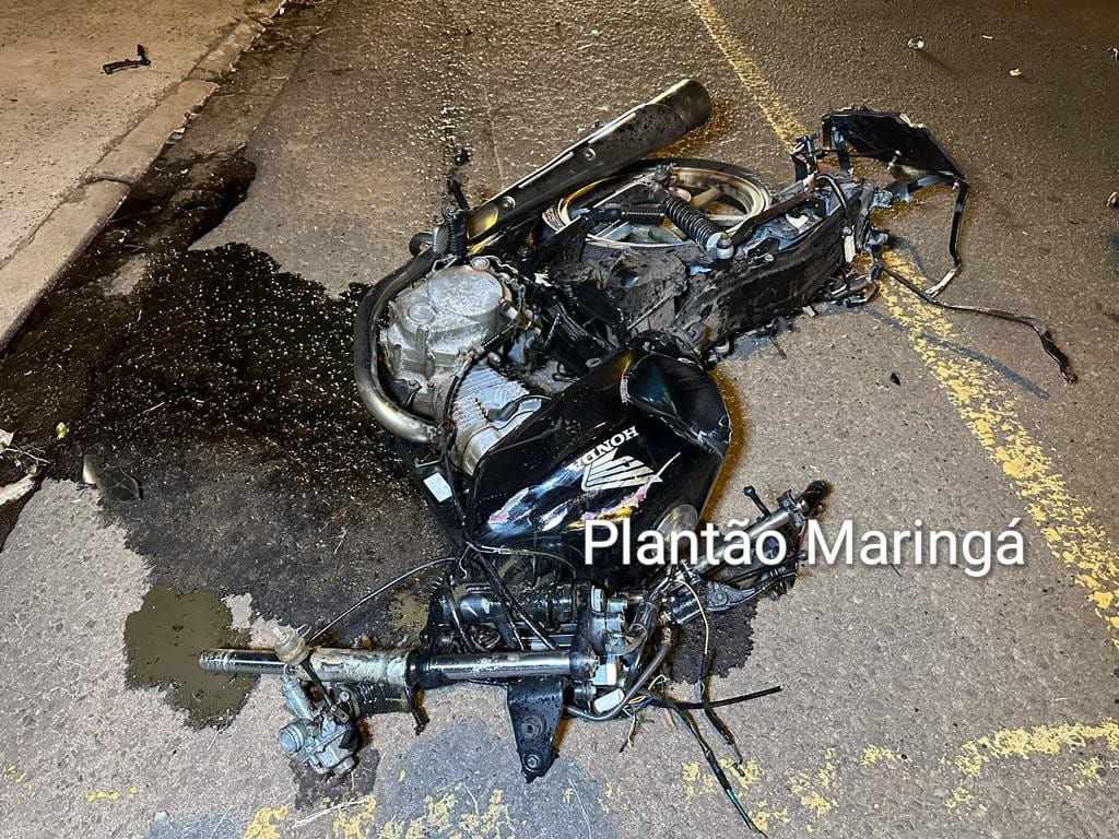 Choque Canil localiza drogas na casa de criminoso preso após confronto em Maringá Foto 24 Fotos de Choque Canil localiza drogas na casa de criminoso preso após confronto em Maringá