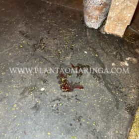 Após briga por causa de mulher motorista invade calçada e atropela homem em Sarandi Foto 11 Fotos de Após briga por causa de mulher motorista invade calçada e atropela homem em Sarandi