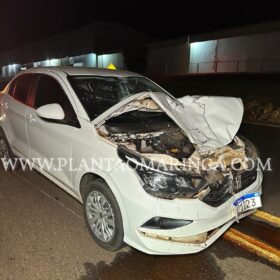 Carro bate na traseira de motoneta e mata mulher de 41 anos Foto 5 Fotos de Carro bate na traseira de motoneta e mata mulher de 41 anos
