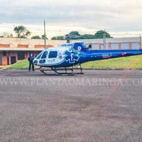 Criança de 1 ano picada por escorpião é intubada e socorrida de helicóptero Foto 2 Fotos de Criança de 1 ano picada por escorpião é intubada e socorrida de helicóptero