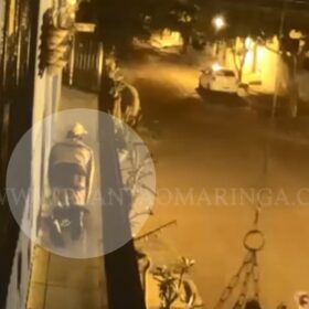Homem é filmado escalando sobrado e engatinhando para furtar cacto rabo-de-macaco em Sarandi; vídeo Foto 1 Fotos de Homem é filmado escalando sobrado e engatinhando para furtar cacto rabo-de-macaco em Sarandi; vídeo