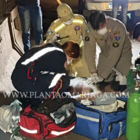 Homem atropelado em Sarandi morre no Hospital Metropolitano Foto 5 Fotos de Homem atropelado em Sarandi morre no Hospital Metropolitano