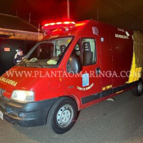 Suspeitas que tentaram matar homem com 14 facadas em Sarandi são presas pela polícia Foto 15 Fotos de Suspeitas que tentaram matar homem com 14 facadas em Sarandi são presas pela polícia