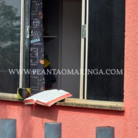 Homem é morto após agredir esposa e atacar Guarda Civil Municipal com facão em Sarandi Foto 2 Fotos de Homem é morto após agredir esposa e atacar Guarda Civil Municipal com facão em Sarandi