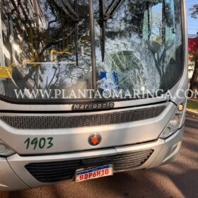 Moça com patinete elétrico é intubada após ser atropelada por ônibus em Maringá Foto 11 Fotos de Moça com patinete elétrico é intubada após ser atropelada por ônibus em Maringá