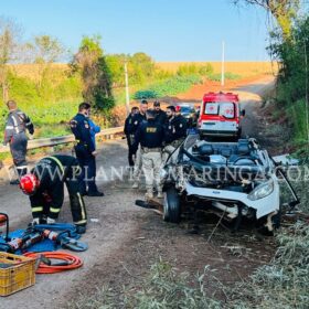 Moradora de Maringá morre após carro capotar e cair em ribanceira em Marialva Foto 6 Fotos de Moradora de Maringá morre após carro capotar e cair em ribanceira em Marialva