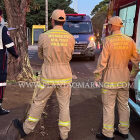 Motorista avança preferencial provoca acidente e foge sem prestar socorro em Maringá Foto 2 Fotos de Motorista avança preferencial provoca acidente e foge sem prestar socorro em Maringá