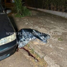 Adolescente de 17 anos é executado com vários tiros em Maringá Foto 8 Fotos de Adolescente de 17 anos é executado com vários tiros em Maringá