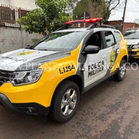 Cachorro da raça pitbull é morto a facadas em Maringá Foto 4 Fotos de Cachorro da raça pitbull é morto a facadas em Maringá