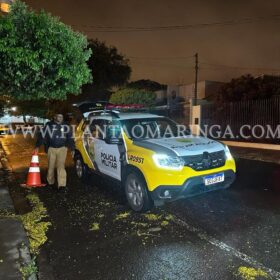 Esquadrão antibomba é acionado após casal levar granada na delegacia em Sarandi Foto 3 Fotos de Esquadrão antibomba é acionado após casal levar granada na delegacia em Sarandi