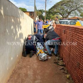 Garota é baleada e socorrida de helicóptero ao Hospital Universitário de Maringá Foto 12 Fotos de Garota é baleada e socorrida de helicóptero ao Hospital Universitário de Maringá