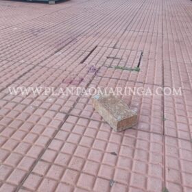 Homem é agredido com tijoladas após brigas entre guardadores de carros em Maringá Foto 6 Fotos de Homem é agredido com tijoladas após brigas entre guardadores de carros em Maringá