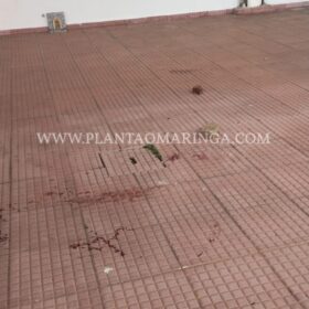 Homem é agredido com tijoladas após brigas entre guardadores de carros em Maringá Foto 7 Fotos de Homem é agredido com tijoladas após brigas entre guardadores de carros em Maringá