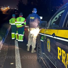 Homem morre esmagado após ser atropelado por vários veículos entre Sarandi e Marialva Foto 3 Fotos de Homem morre esmagado após ser atropelado por vários veículos entre Sarandi e Marialva