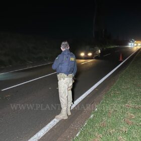 Homem morre esmagado após ser atropelado por vários veículos entre Sarandi e Marialva Foto 7 Fotos de Homem morre esmagado após ser atropelado por vários veículos entre Sarandi e Marialva