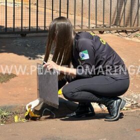 Homem é morto a tiros na frente da esposa e filhos após ser vítima de emboscada em Sarandi Foto 4 Fotos de Homem é morto a tiros na frente da esposa e filhos após ser vítima de emboscada em Sarandi