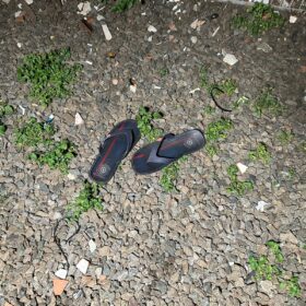 Jovem de 23 anos é encontrado esfaqueado em bairro de Sarandi Foto 2 Fotos de Jovem de 23 anos é encontrado esfaqueado em bairro de Sarandi
