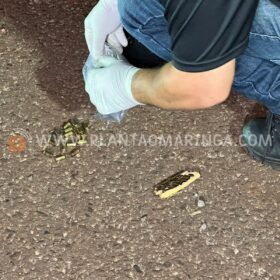 Homem obrigado a se ajoelhar e é executado com 30 tiros na frente do filho de 9 anos, em Maringá Foto 17 Fotos de Homem obrigado a se ajoelhar e é executado com 30 tiros na frente do filho de 9 anos, em Maringá