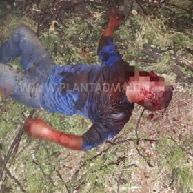 Homem esfaqueado e agredido com tronco de árvore em Maringá morre no hospital Foto 3 Fotos de Homem esfaqueado e agredido com tronco de árvore em Maringá morre no hospital