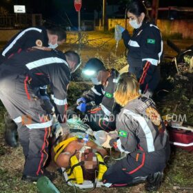 Homem esfaqueado e agredido com tronco de árvore em Maringá morre no hospital Foto 1 Fotos de Homem esfaqueado e agredido com tronco de árvore em Maringá morre no hospital