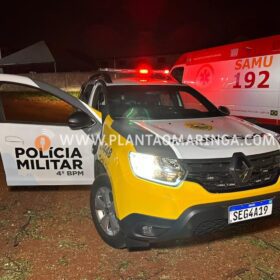 Homem esfaqueado e agredido com tronco de árvore em Maringá morre no hospital Foto 7 Fotos de Homem esfaqueado e agredido com tronco de árvore em Maringá morre no hospital