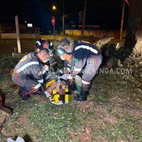 Homem esfaqueado e agredido com tronco de árvore em Maringá morre no hospital Foto 8 Fotos de Homem esfaqueado e agredido com tronco de árvore em Maringá morre no hospital