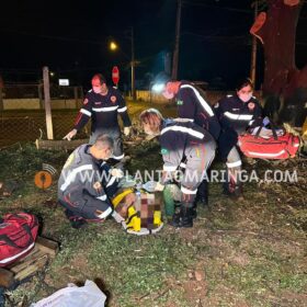 Homem esfaqueado e agredido com tronco de árvore em Maringá morre no hospital Foto 20 Fotos de Homem esfaqueado e agredido com tronco de árvore em Maringá morre no hospital