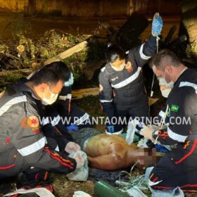 Homem esfaqueado e agredido com tronco de árvore em Maringá morre no hospital Foto 15 Fotos de Homem esfaqueado e agredido com tronco de árvore em Maringá morre no hospital