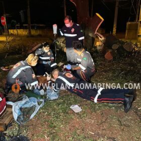 Homem esfaqueado e agredido com tronco de árvore em Maringá morre no hospital Foto 16 Fotos de Homem esfaqueado e agredido com tronco de árvore em Maringá morre no hospital