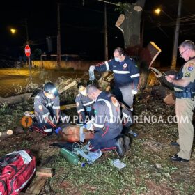 Homem esfaqueado e agredido com tronco de árvore em Maringá morre no hospital Foto 19 Fotos de Homem esfaqueado e agredido com tronco de árvore em Maringá morre no hospital
