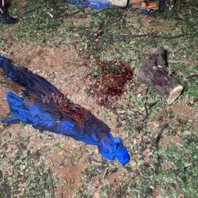 Homem esfaqueado e agredido com tronco de árvore em Maringá morre no hospital Foto 22 Fotos de Homem esfaqueado e agredido com tronco de árvore em Maringá morre no hospital