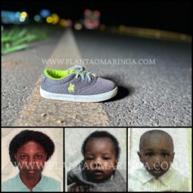 Mãe e filhos morrem atropelados por ônibus em Maringá Foto 19 Fotos de Mãe e filhos morrem atropelados por ônibus em Maringá