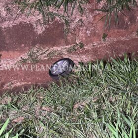 Mãe e filhos morrem atropelados por ônibus em Maringá Foto 4 Fotos de Mãe e filhos morrem atropelados por ônibus em Maringá