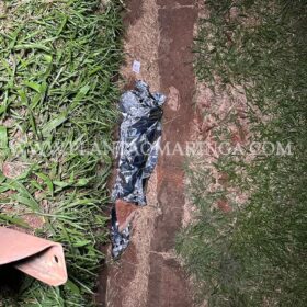 Mãe e filhos morrem atropelados por ônibus em Maringá Foto 10 Fotos de Mãe e filhos morrem atropelados por ônibus em Maringá