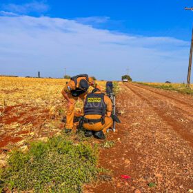 Moto furtada é encontrada depenada na Zona Rural de Maringá Foto 2 Fotos de Moto furtada é encontrada depenada na Zona Rural de Maringá