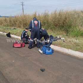 Motorista morre após ser ejetado em capotamento em Maringá Foto 3 Fotos de Motorista morre após ser ejetado em capotamento em Maringá