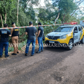 Mulher é encontrada sem cabeça e nua dentro de córrego em Maringá Foto 12 Fotos de Mulher é encontrada sem cabeça e nua dentro de córrego em Maringá