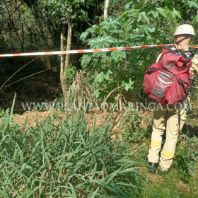 Mulher é encontrada sem cabeça e nua dentro de córrego em Maringá Foto 3 Fotos de Mulher é encontrada sem cabeça e nua dentro de córrego em Maringá